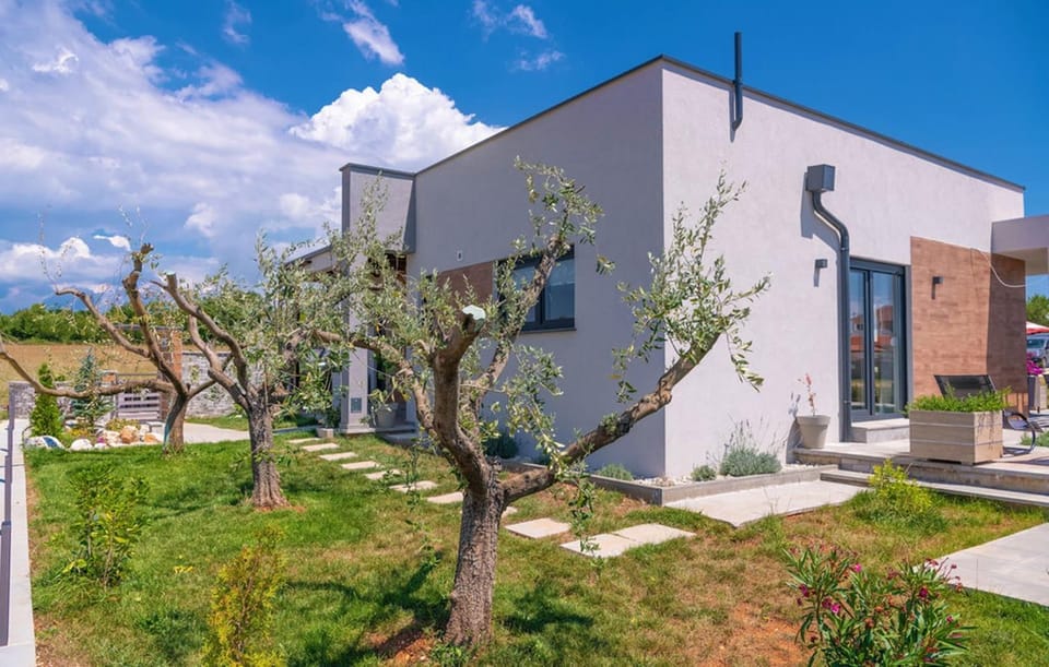 Patio, Garden, Garden view