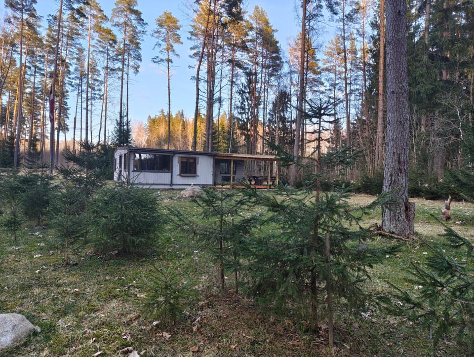 Dreamcatcher House in Latvia