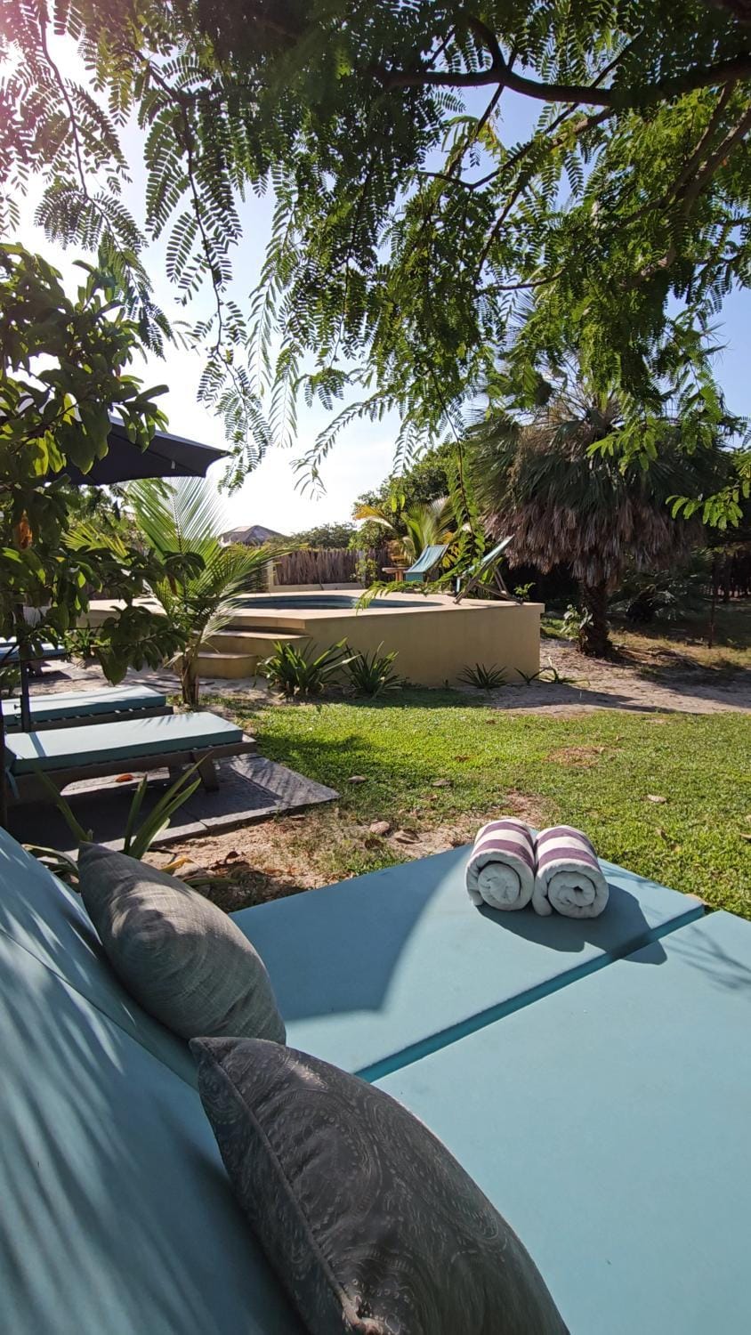 Natural landscape, Garden, Swimming pool