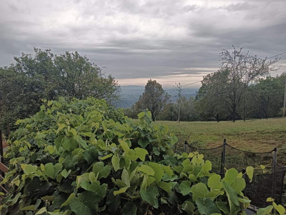 Natural landscape