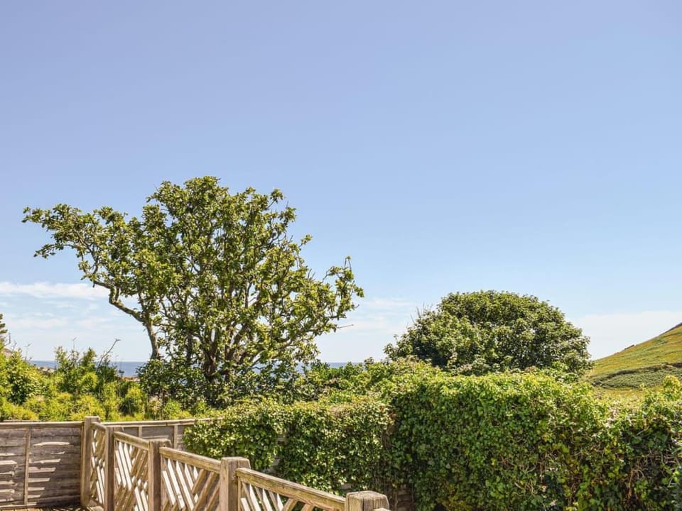Natural landscape, Garden, Garden view