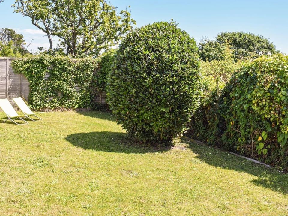 Spring, Day, Natural landscape, Garden, Garden view, sunbed
