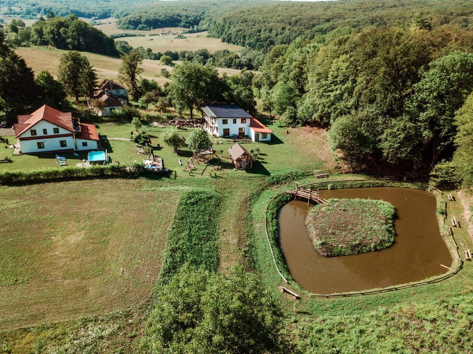 Spring, Neighbourhood, Natural landscape, Fishing, Lake view