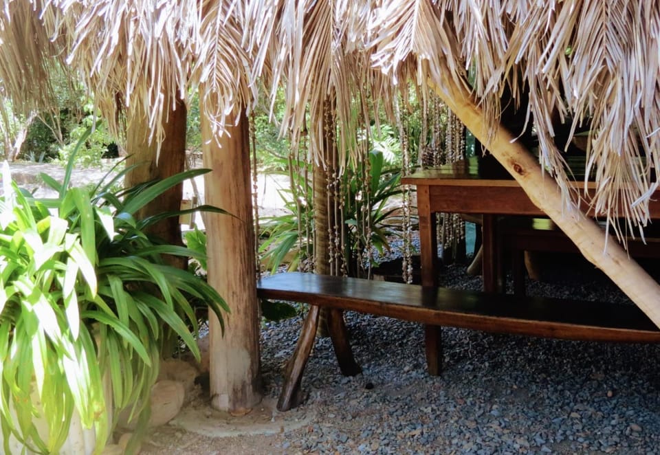 Garden, Lobby or reception, Decorative detail