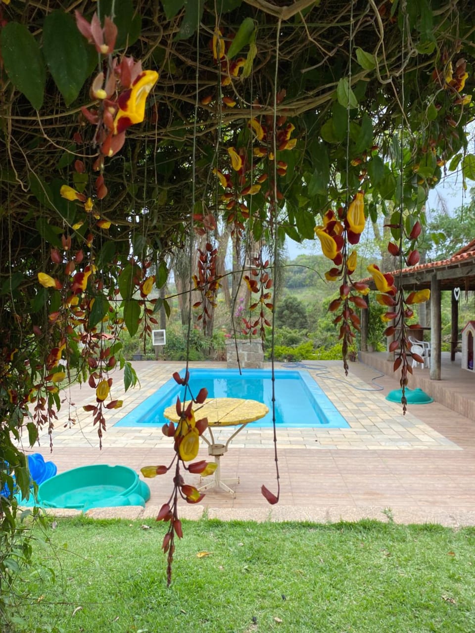 CHÁCARA GODOI - Meu Paraíso House in State of São Paulo