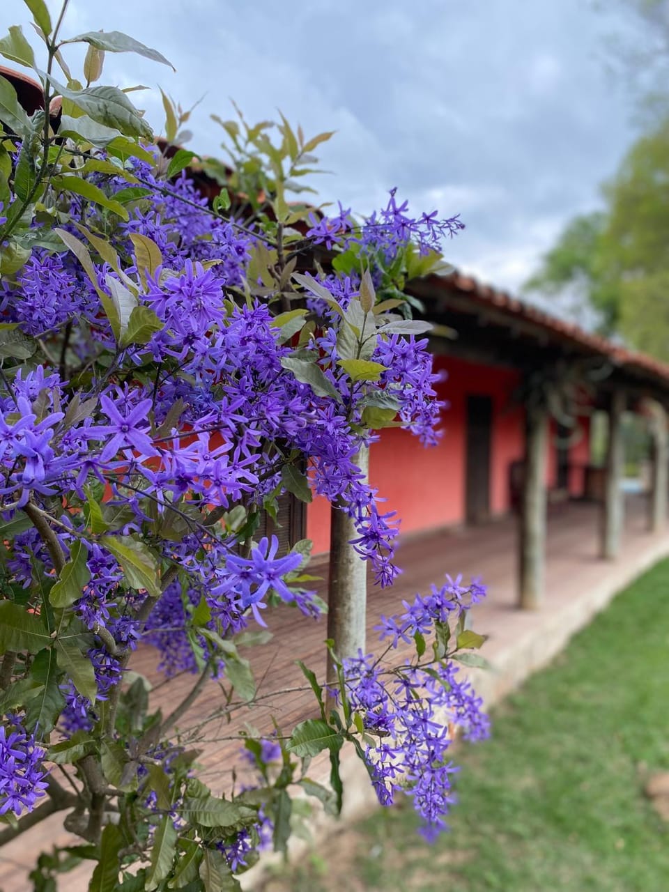 CHÁCARA GODOI - Meu Paraíso House in State of São Paulo