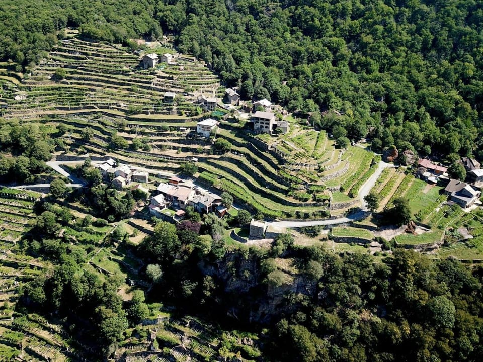 Natural landscape, Bird's eye view