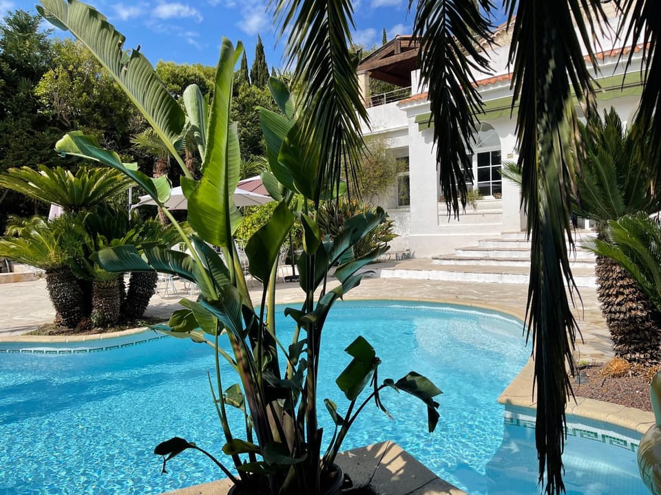 Cannes Villa piscine proche centre ville Villa in Cannes