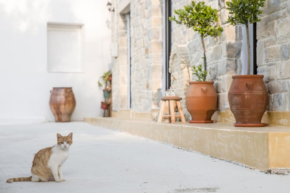 Villa Mira Villa in Crete
