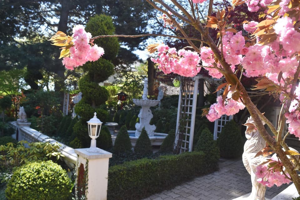 Spring, Garden