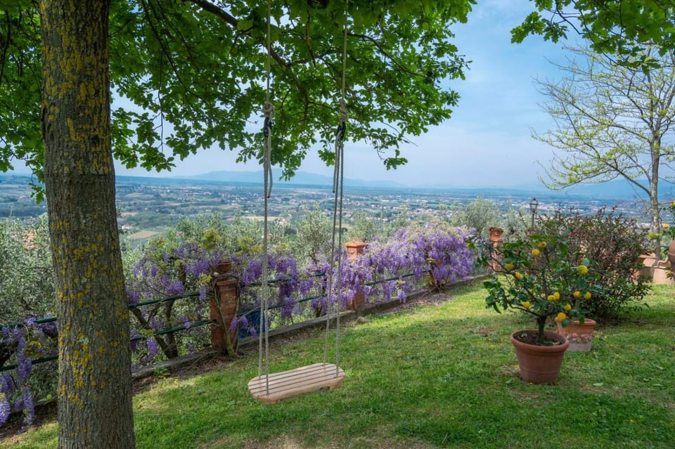Garden view