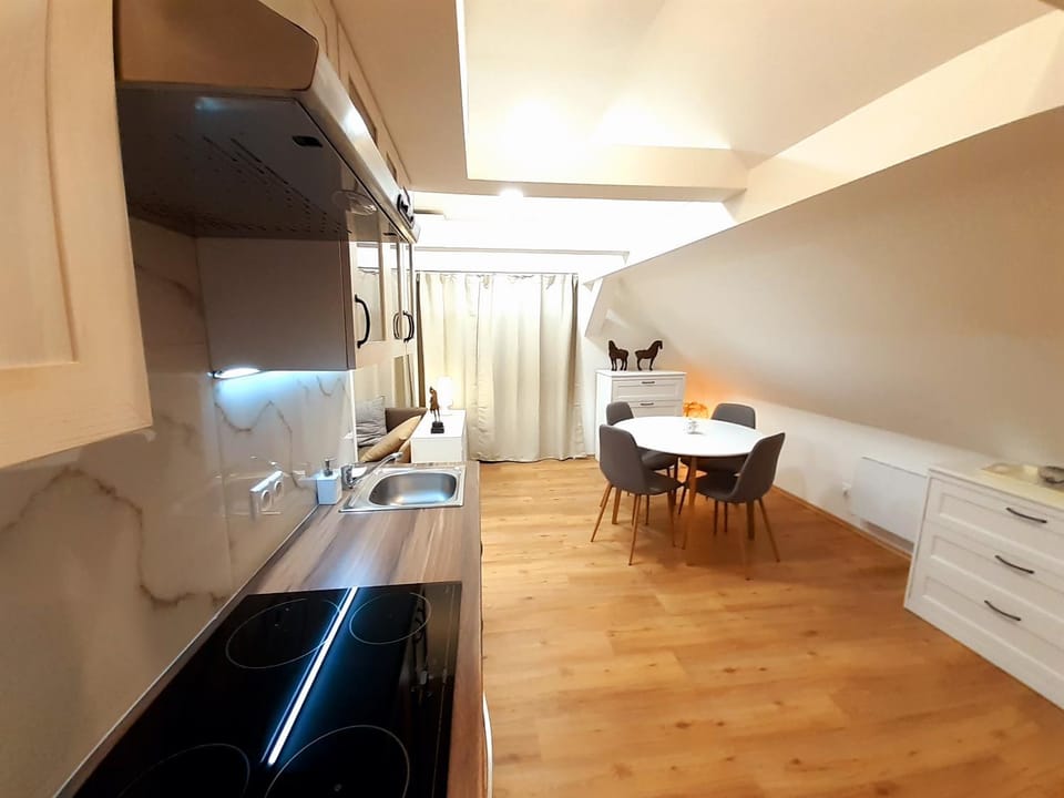 Kitchen or kitchenette, Living room, Dining area, Bedroom
