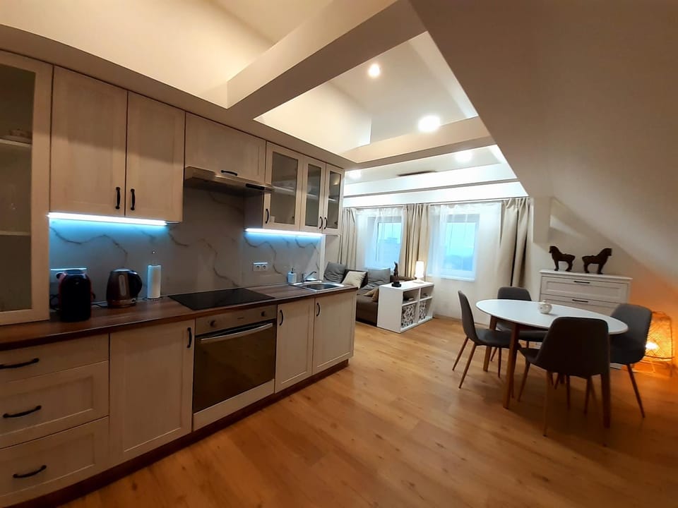 Kitchen or kitchenette, Living room, Dining area, Bedroom