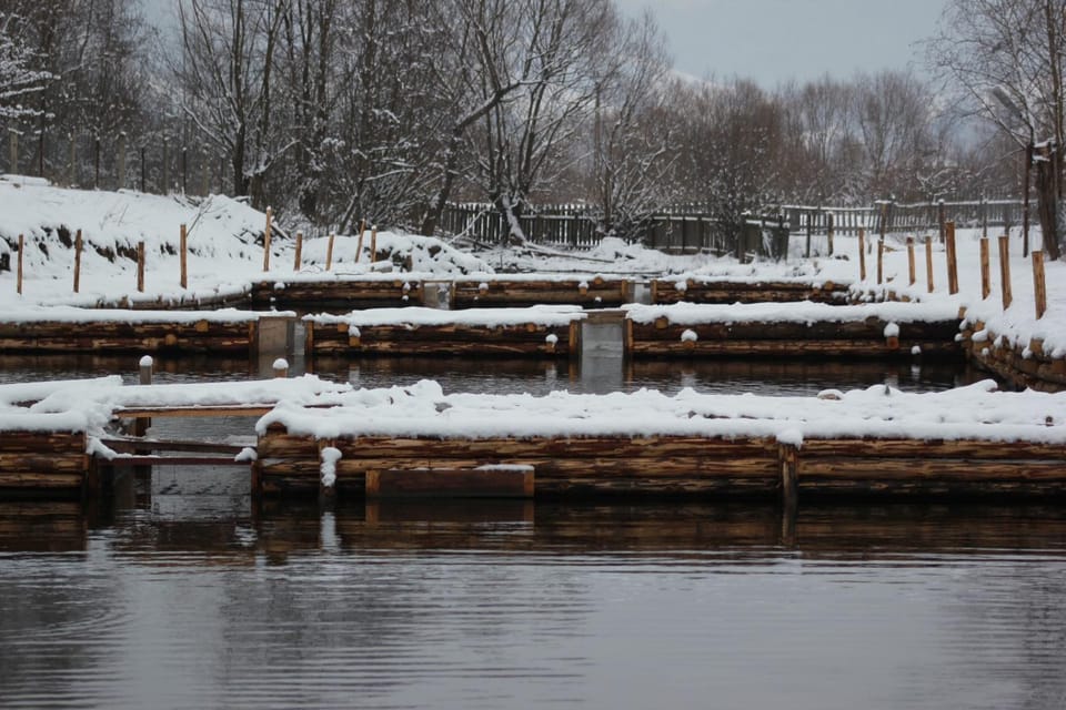 Winter, Lake view