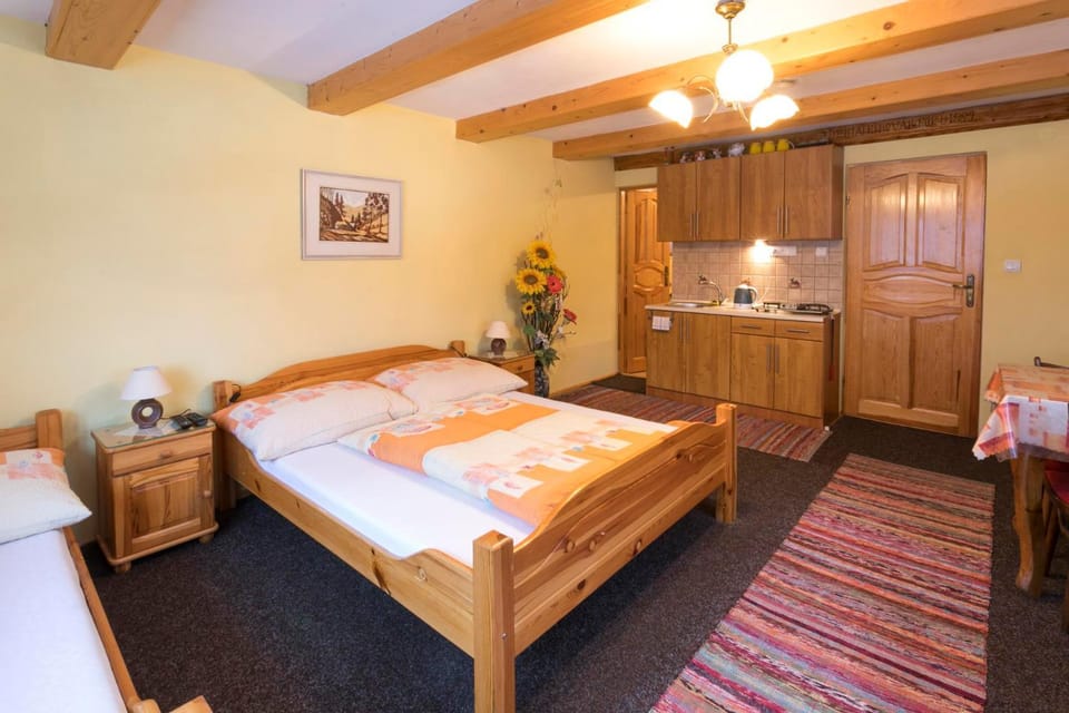Kitchen or kitchenette, Bedroom