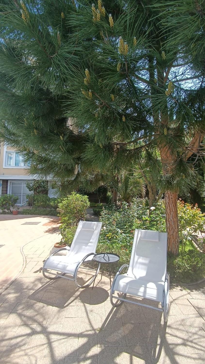 Messembria Palace Bulgaria Apartment in Sunny Beach