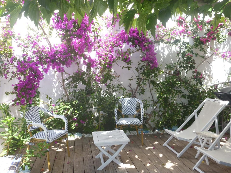Patio, BBQ facilities, Garden, sunbed