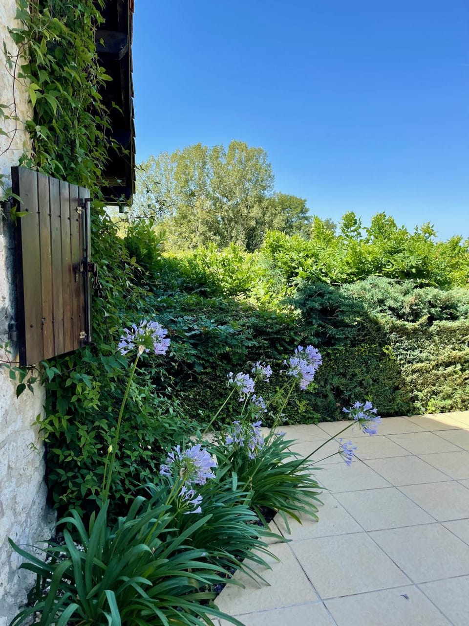 Garden, Balcony/Terrace