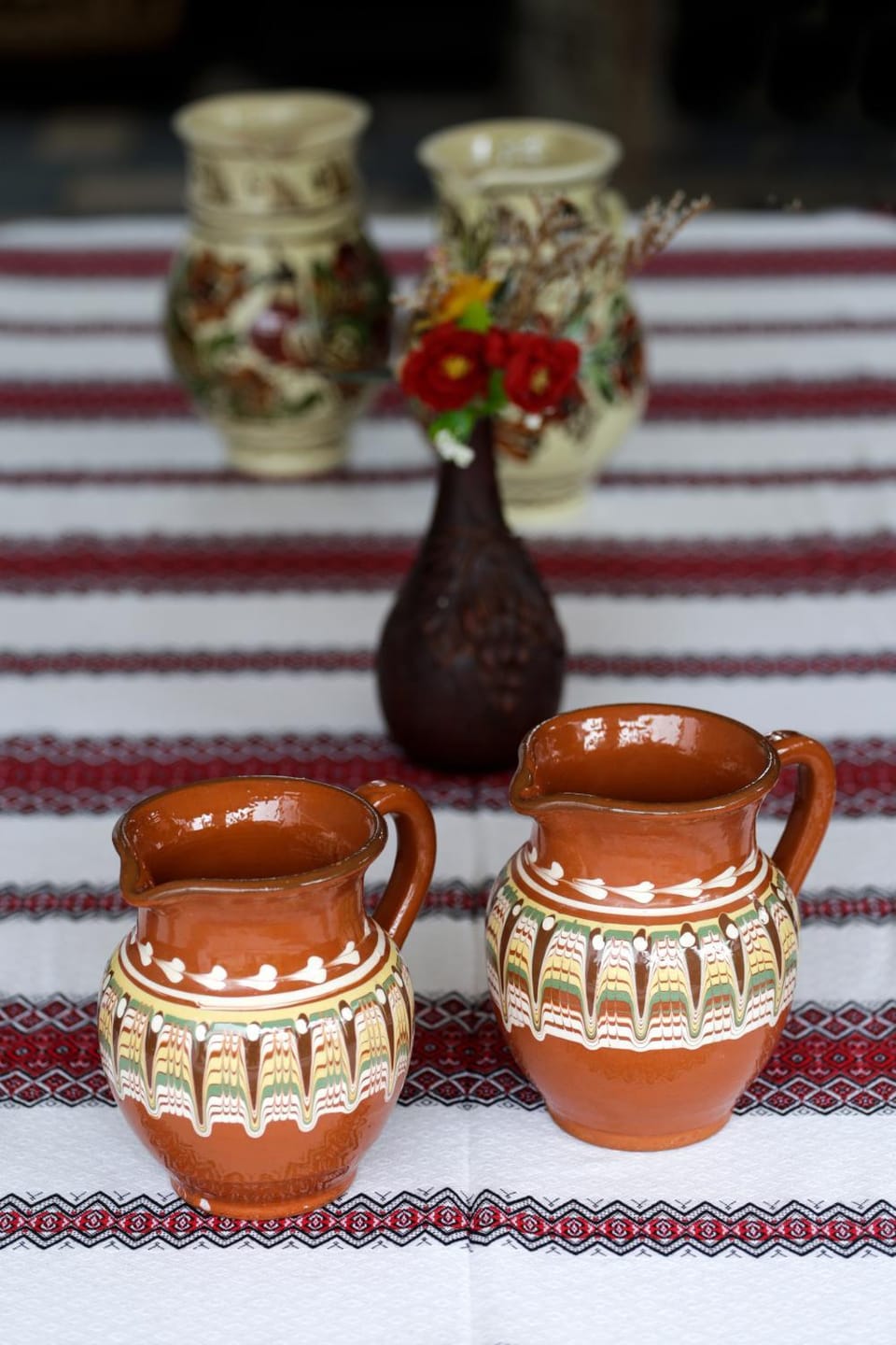Pensiunea Indra Bed and Breakfast in Romania