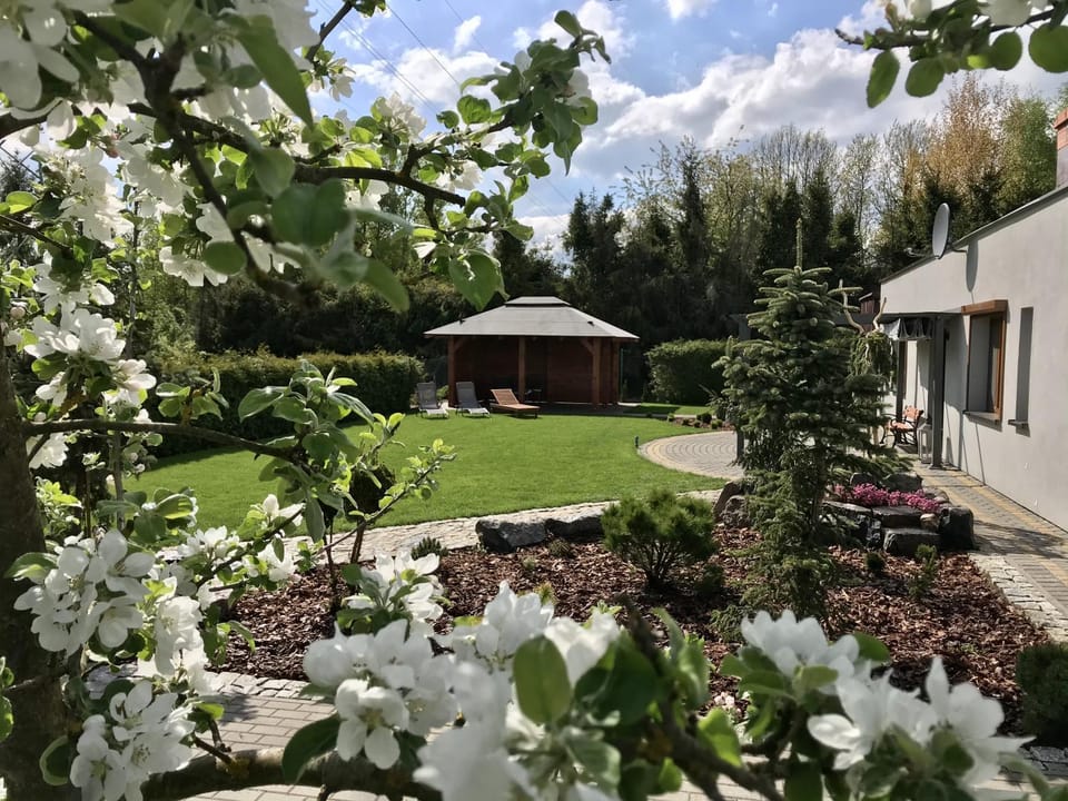 Kameralny Domek(jezioro, las, klimatyzacja, Wi-fi) Apartment in Pomeranian Voivodeship