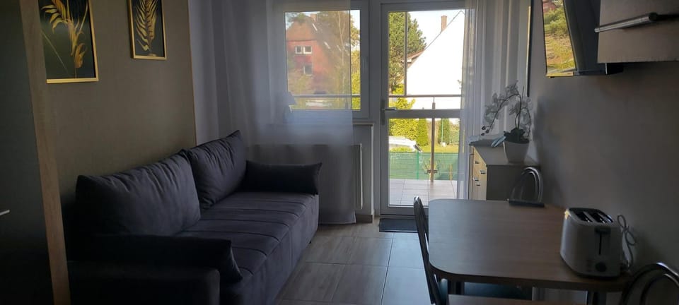 Pokoje gościnne Silver Apartment in West Pomeranian Voivodeship, Poland