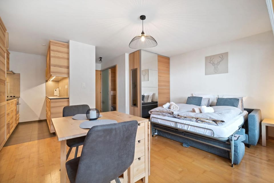 Charmant studio rénové situé dans les bains d'Ovronnaz, immeuble les Sources Apartment in Canton of Vaud