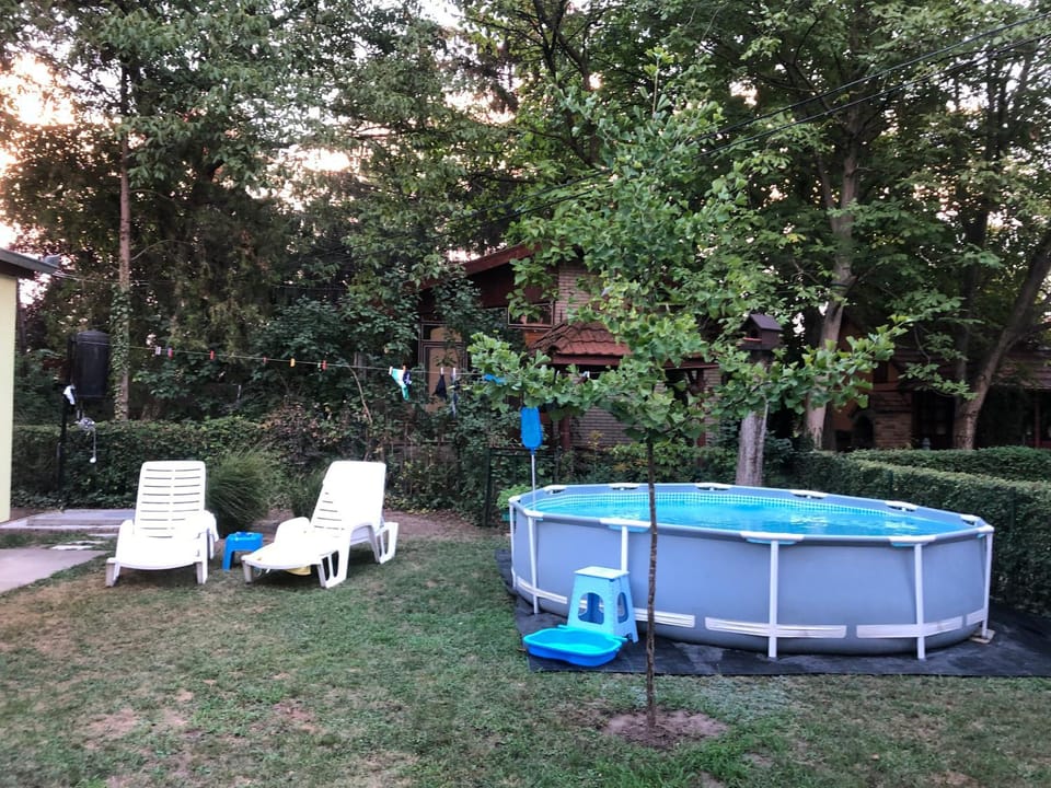 Natural landscape, Garden, Garden view, Pool view, Swimming pool, sunbed