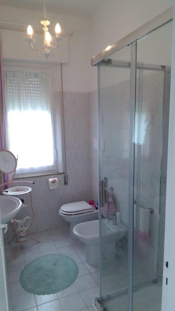 Shower, Toilet, Bathroom, bidet