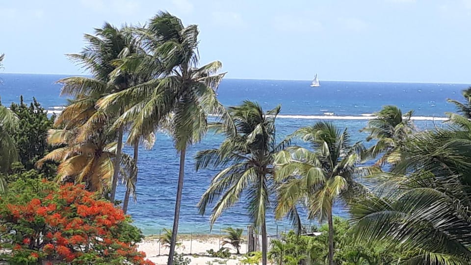 Sea view