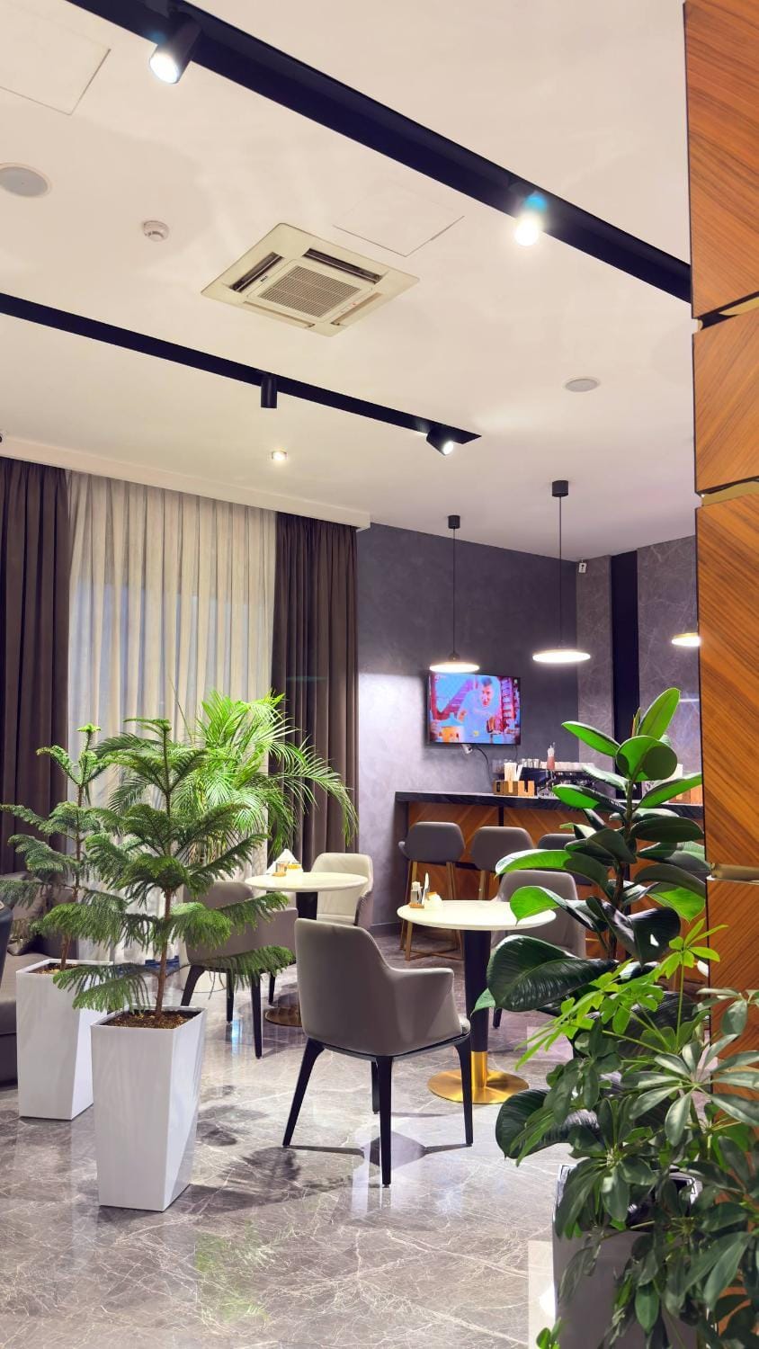Lounge or bar