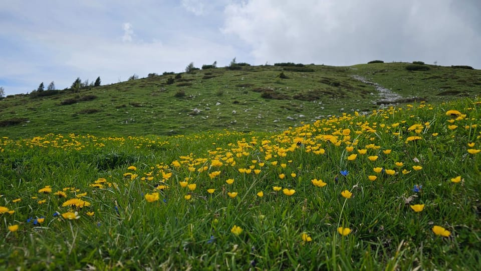 Haus Hasslacher Bed and Breakfast in Carinthia, Austria
