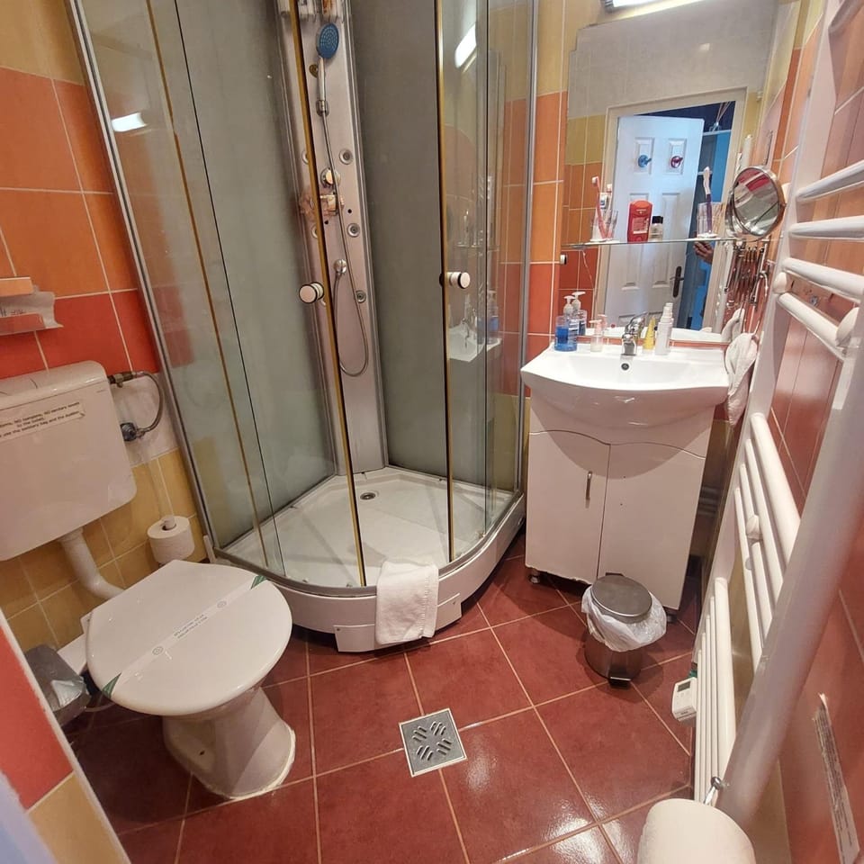 Shower, Toilet, Bathroom, bidet, towels