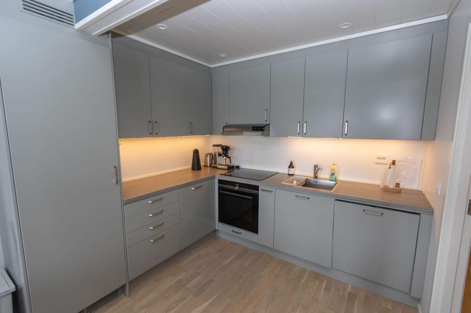 Kitchen or kitchenette, dishwasher, oven, pet friendly, stove