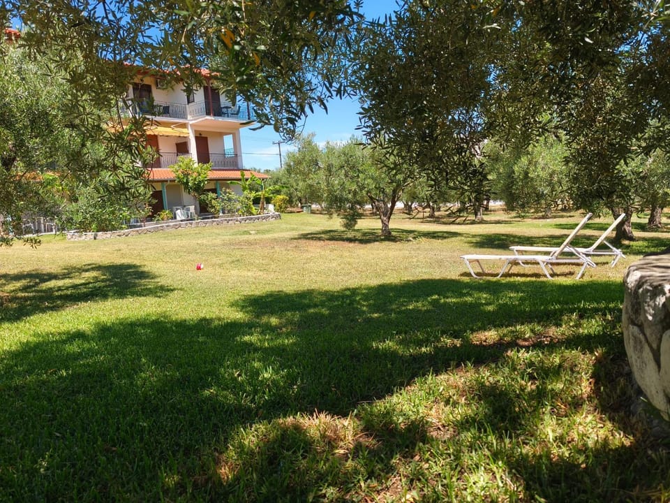 Property building, Garden, Garden view