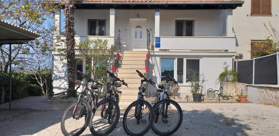 Day, Cycling, Street view, Breakfast