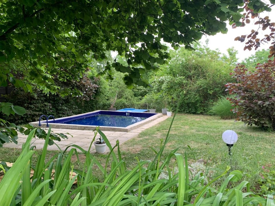 Garden, Swimming pool