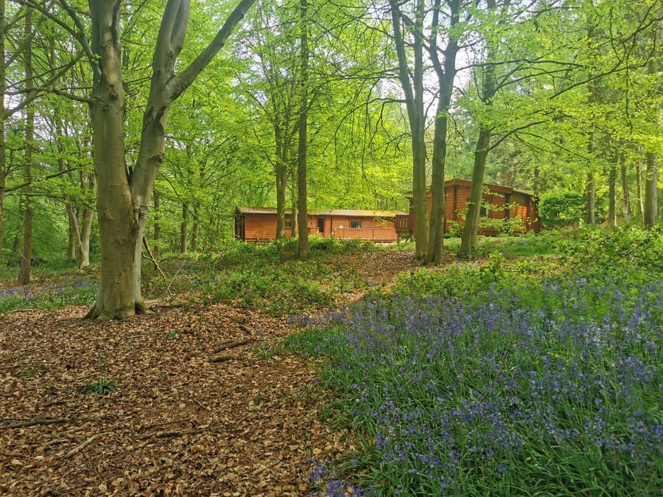 Property building, Garden, Garden