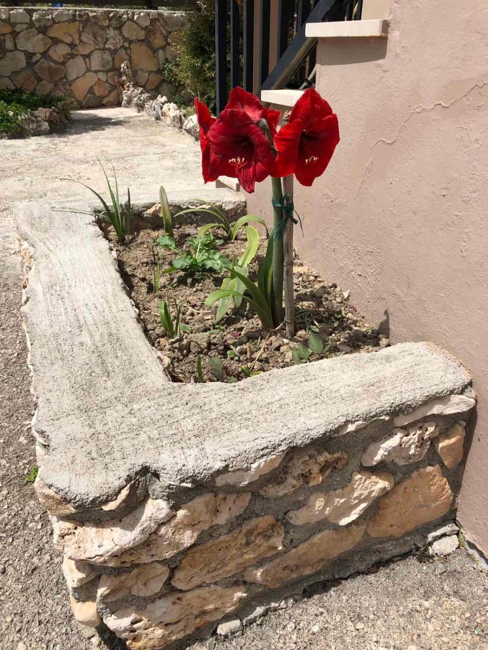 Garden, Garden view