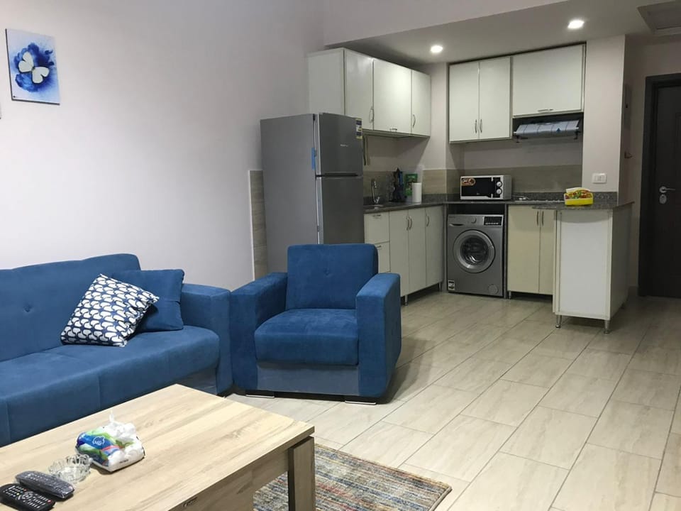 Kitchen or kitchenette, Living room, Seating area, Dining area, oven, stove, toaster, washing machine