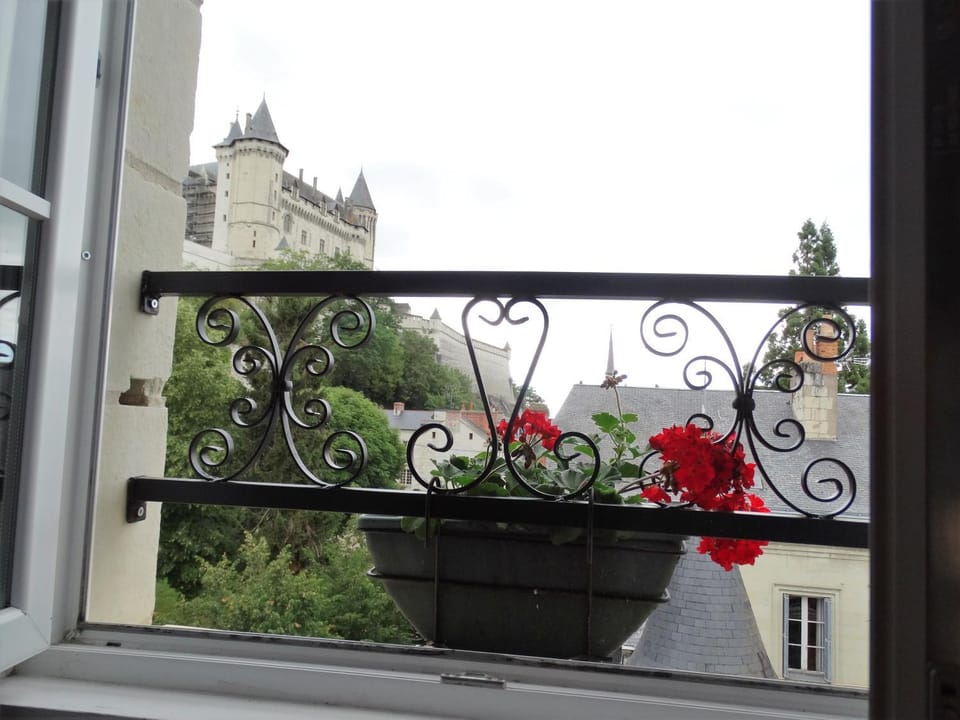 Vue splendide sur Chateau Apartment in Saumur