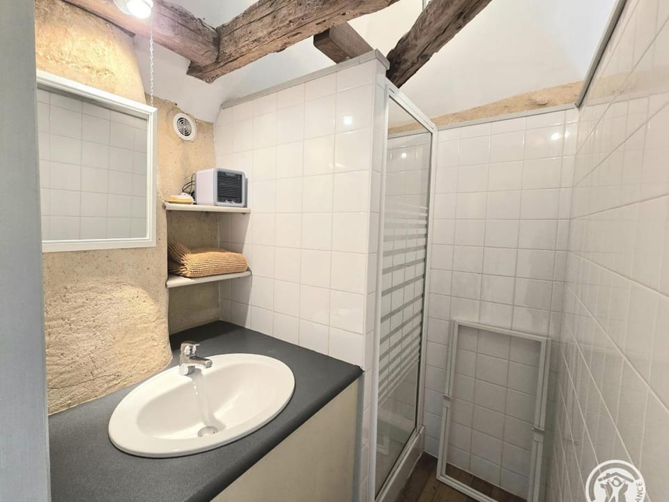 Séjour Authentique dans un Pigeonnier du XVIIe avec Internet et Animaux Acceptés - FR-1-616-101 House in Nouvelle-Aquitaine