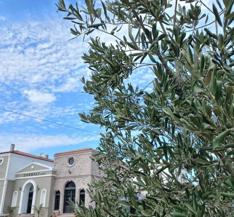 Zarbalı Cunda Hotel in İzmir Province