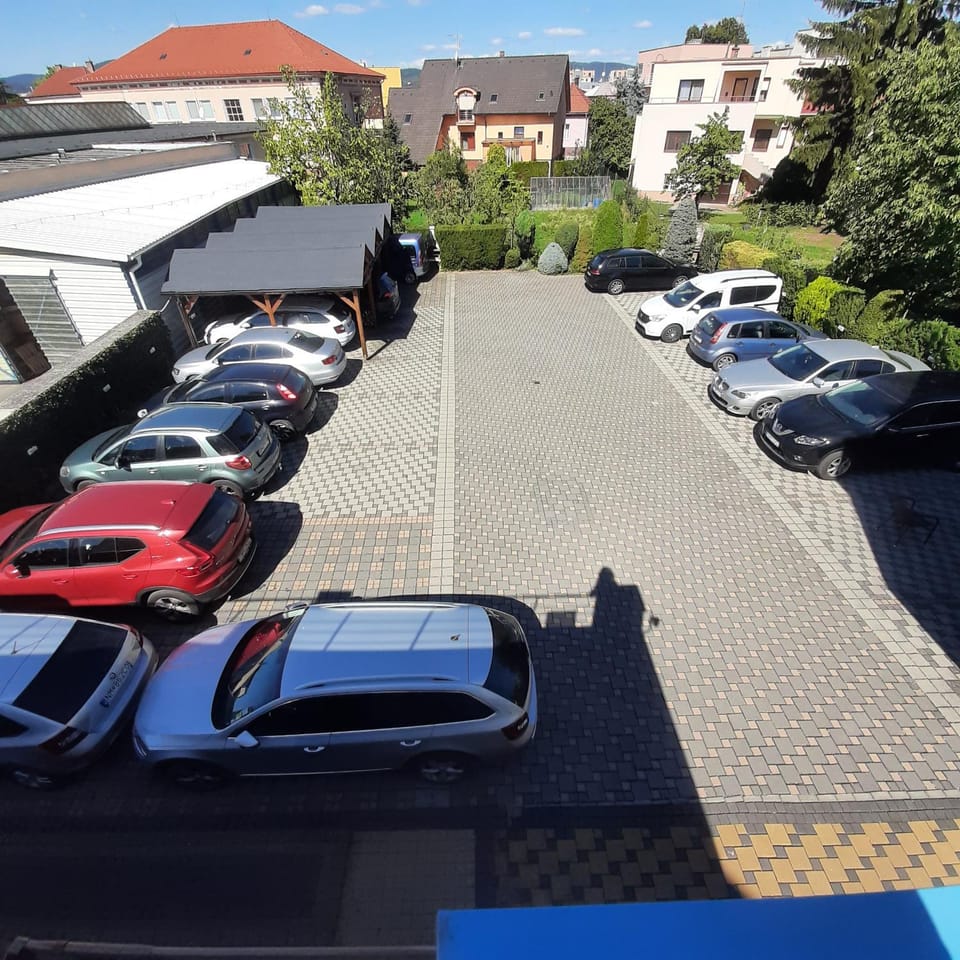 Garden, Inner courtyard view, Parking