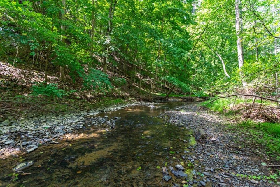 Natural landscape, River view