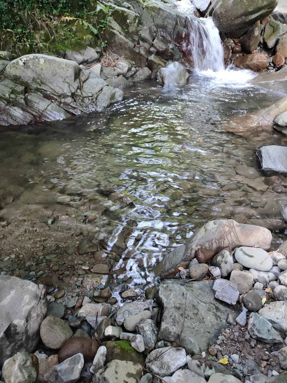 River view