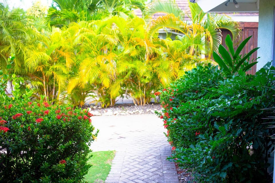 Garden view