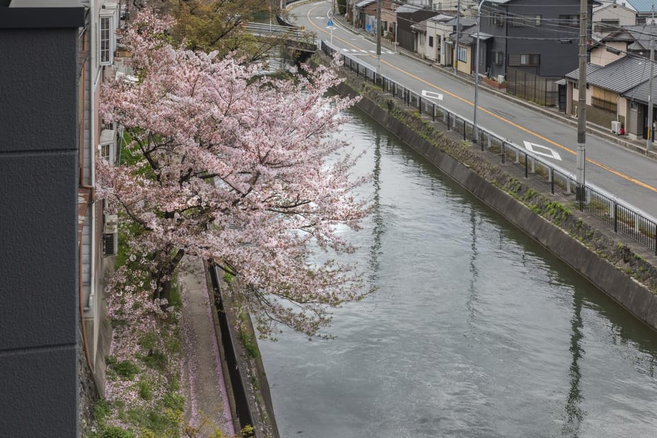 River view