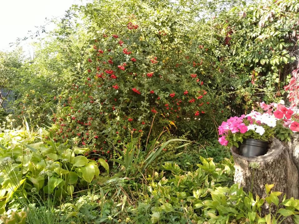 Уютный ночлег Иссыкские курганы Bed and Breakfast in Almaty Region, Kazakhstan