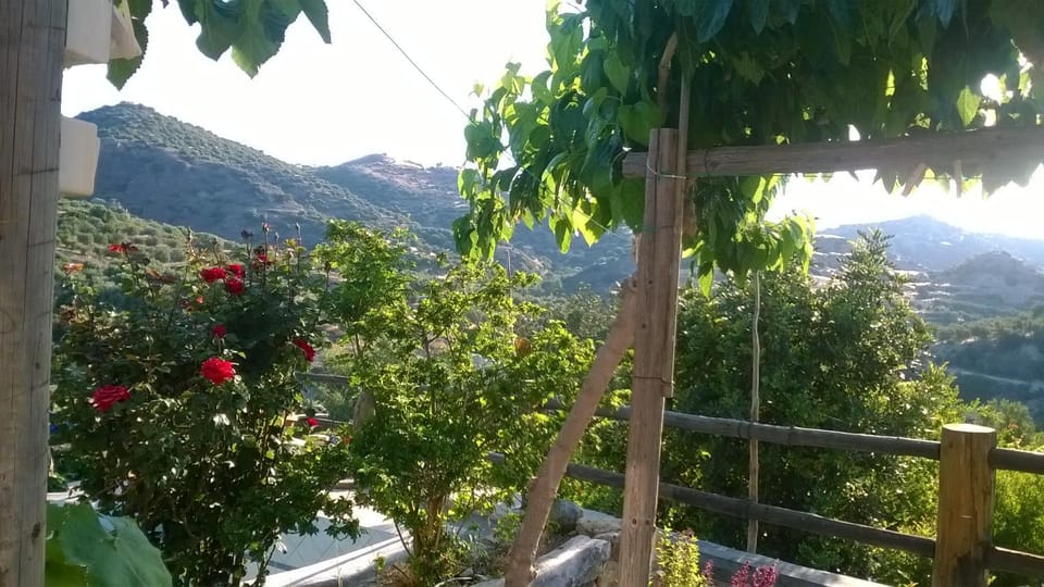 Comfortable Family House nearby Mirtos House in Lasithi