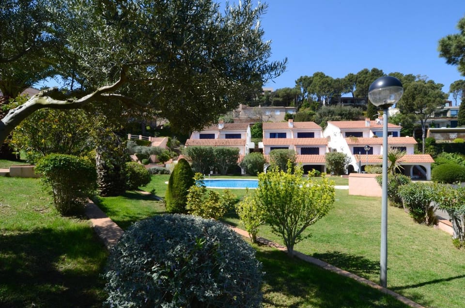 Patio, Garden, Garden view